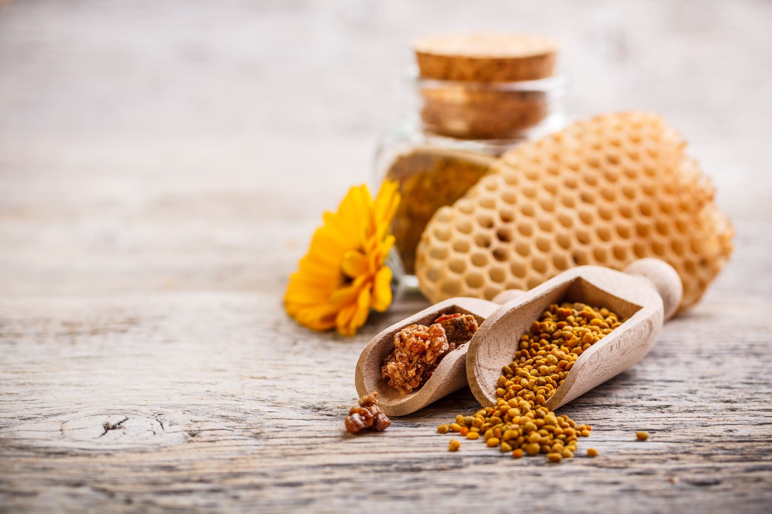 polen de abeja